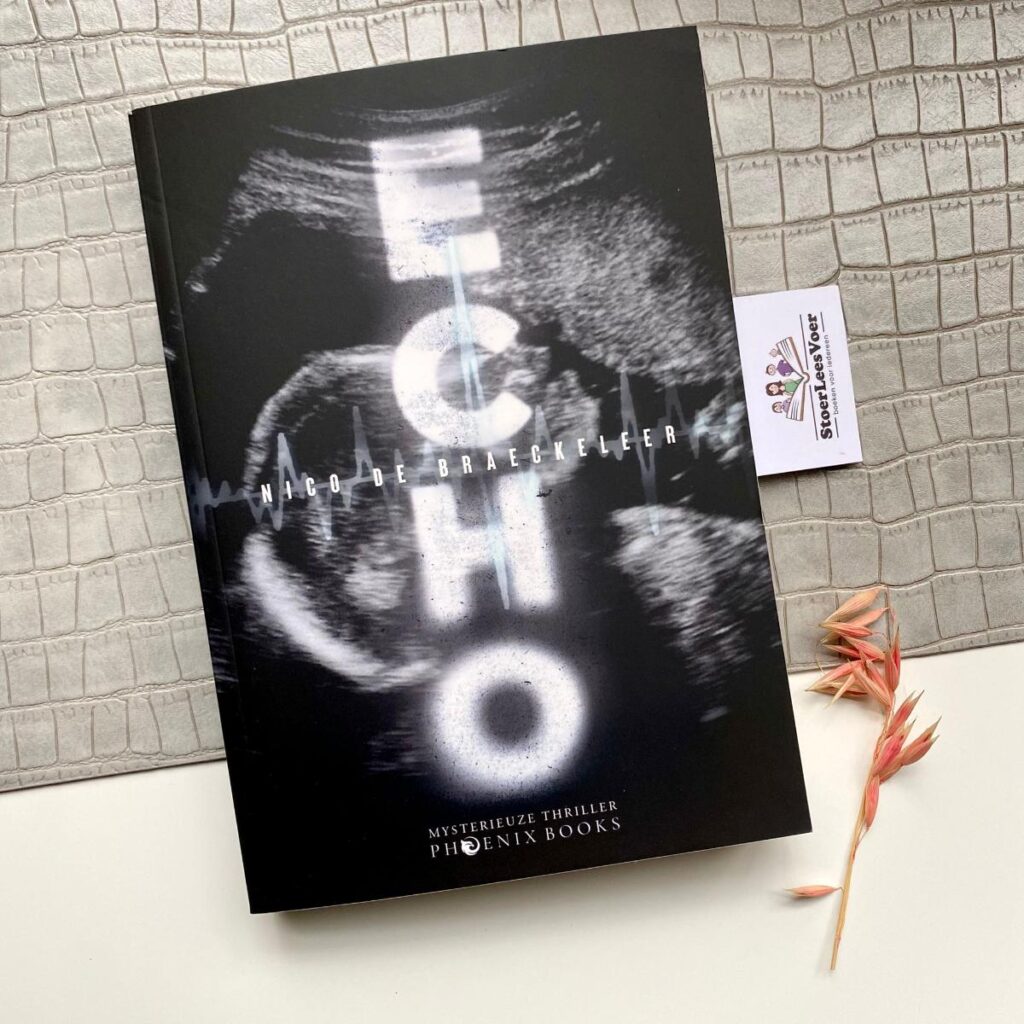 echo nico de braeckeleer voorkant cover omslag kaft thriller