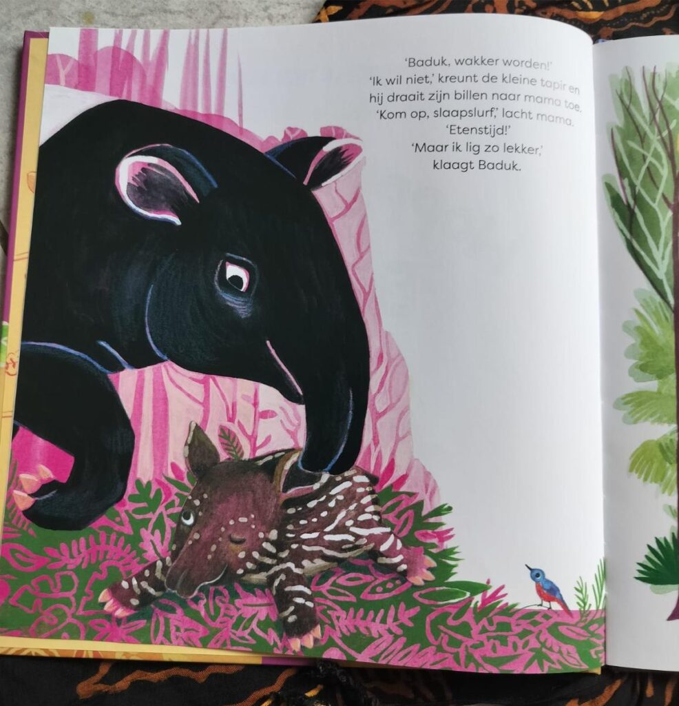 Eerste bladzijde Hoppetee Baduk