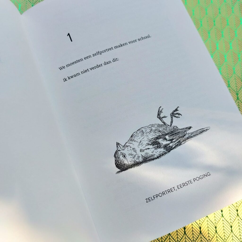 neem een kip zelfportret vink