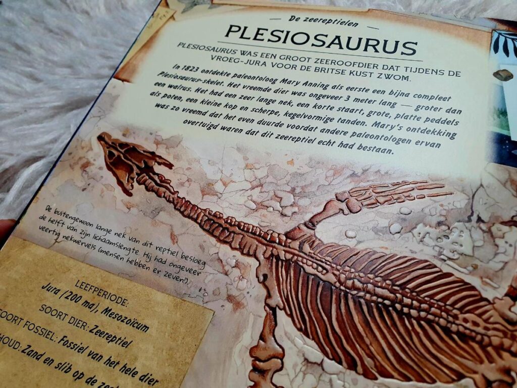 De fossielenschatkist