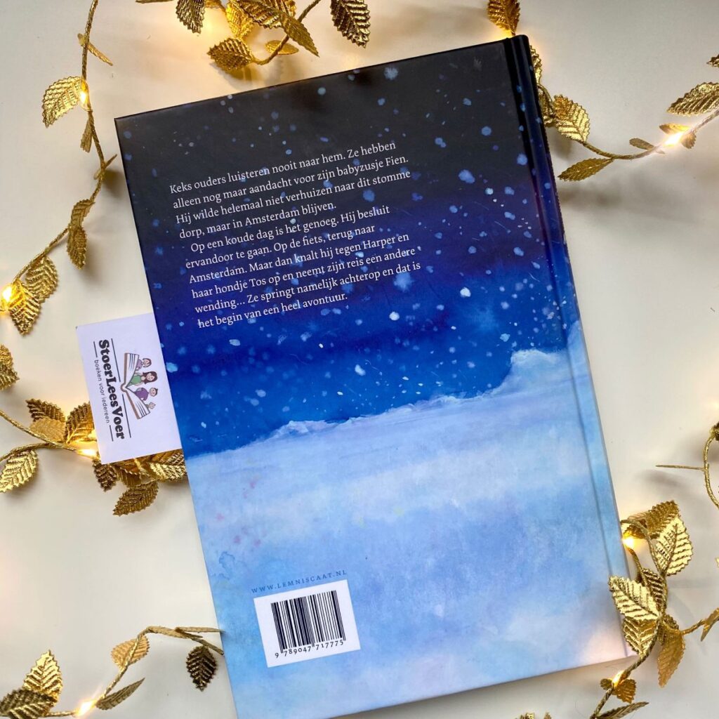 durf achterkant achterflap synopsis samenvatting cover omslag kaft liz huisman jeugdroman anna boterman