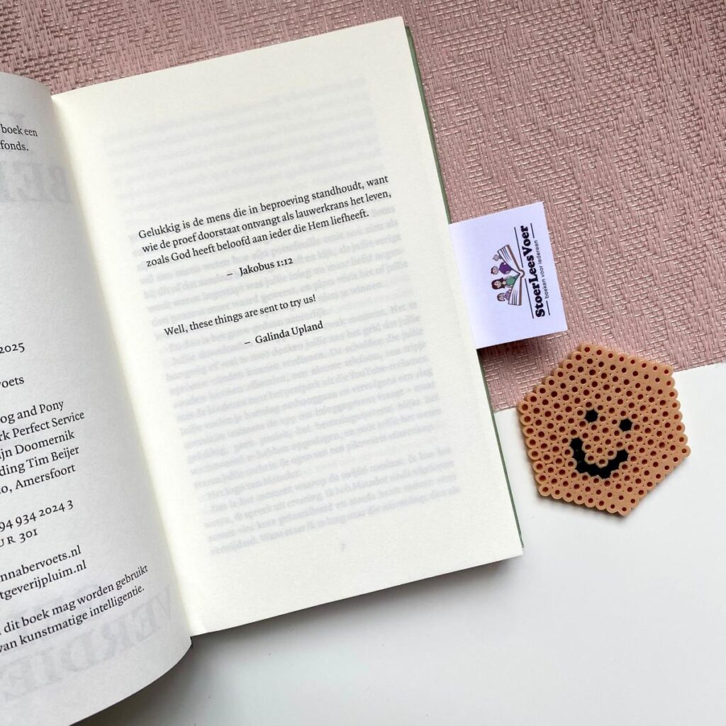 geld verdienen hanna bervoets boek