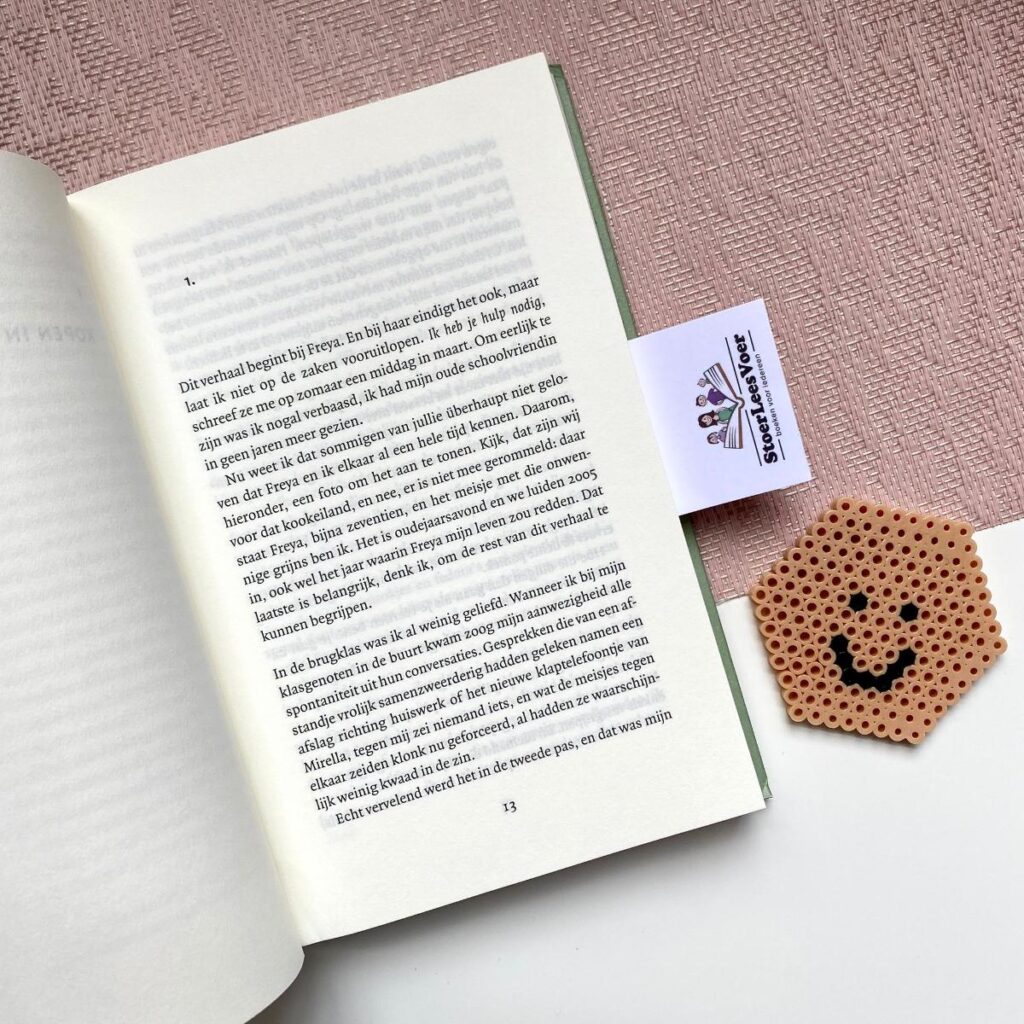 geld verdienen hoofdstuk tekst hanna bervoets