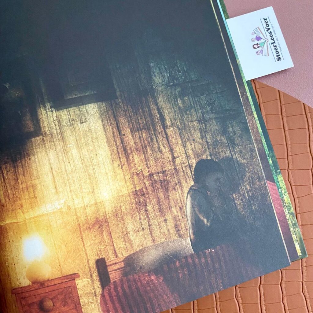 het mooiste huis illustratie