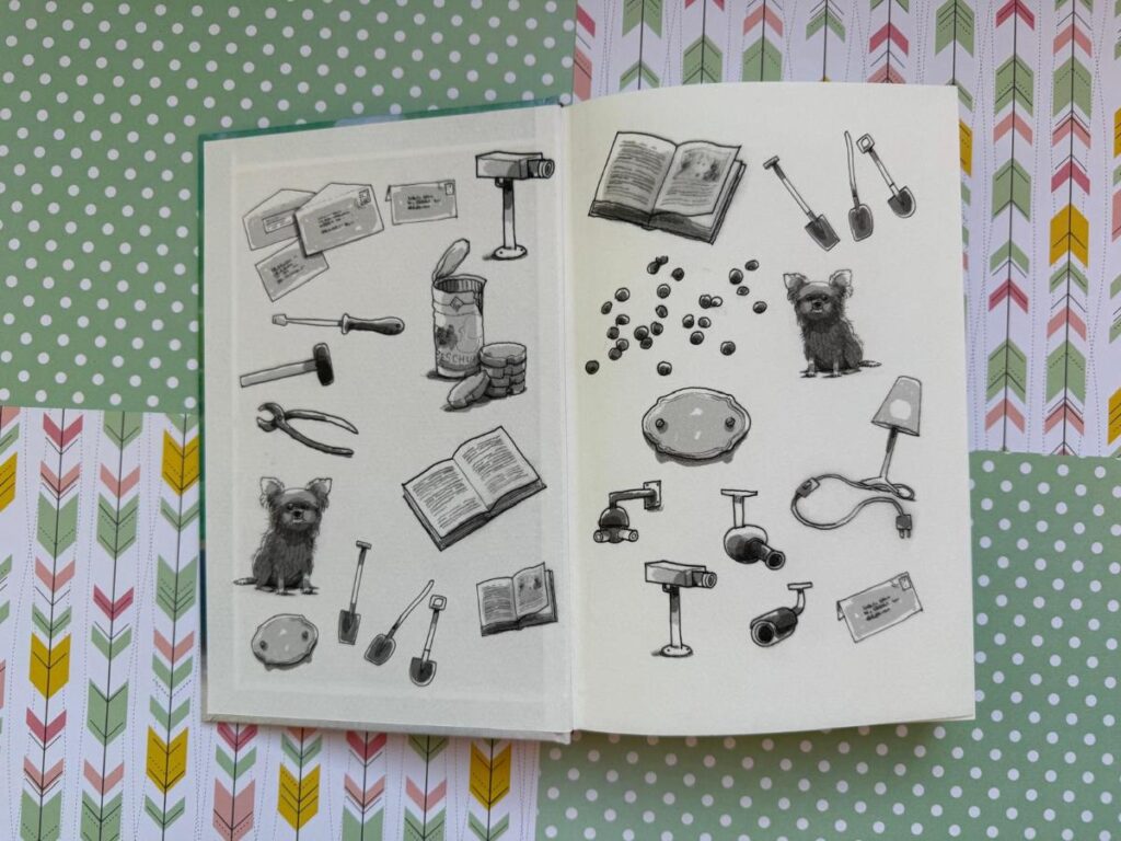 illustraties in omslag