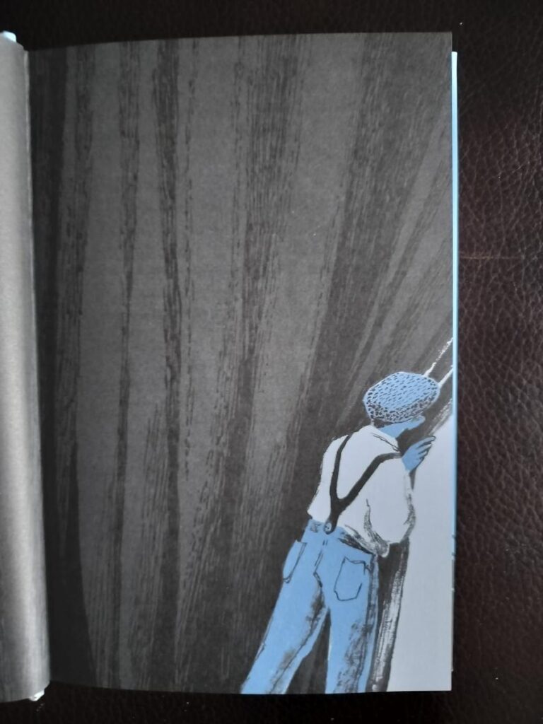 Illustratie De geheimzinnige zaken van Duyster en Woudt