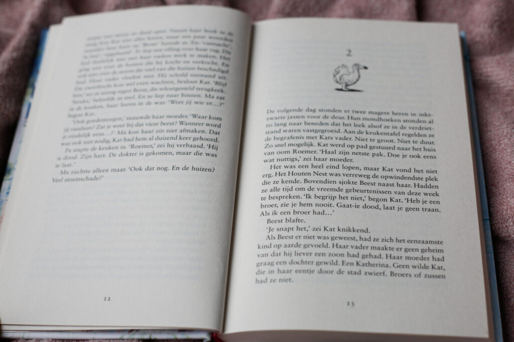 bladspiegel, illustratie bij hoofdstuk