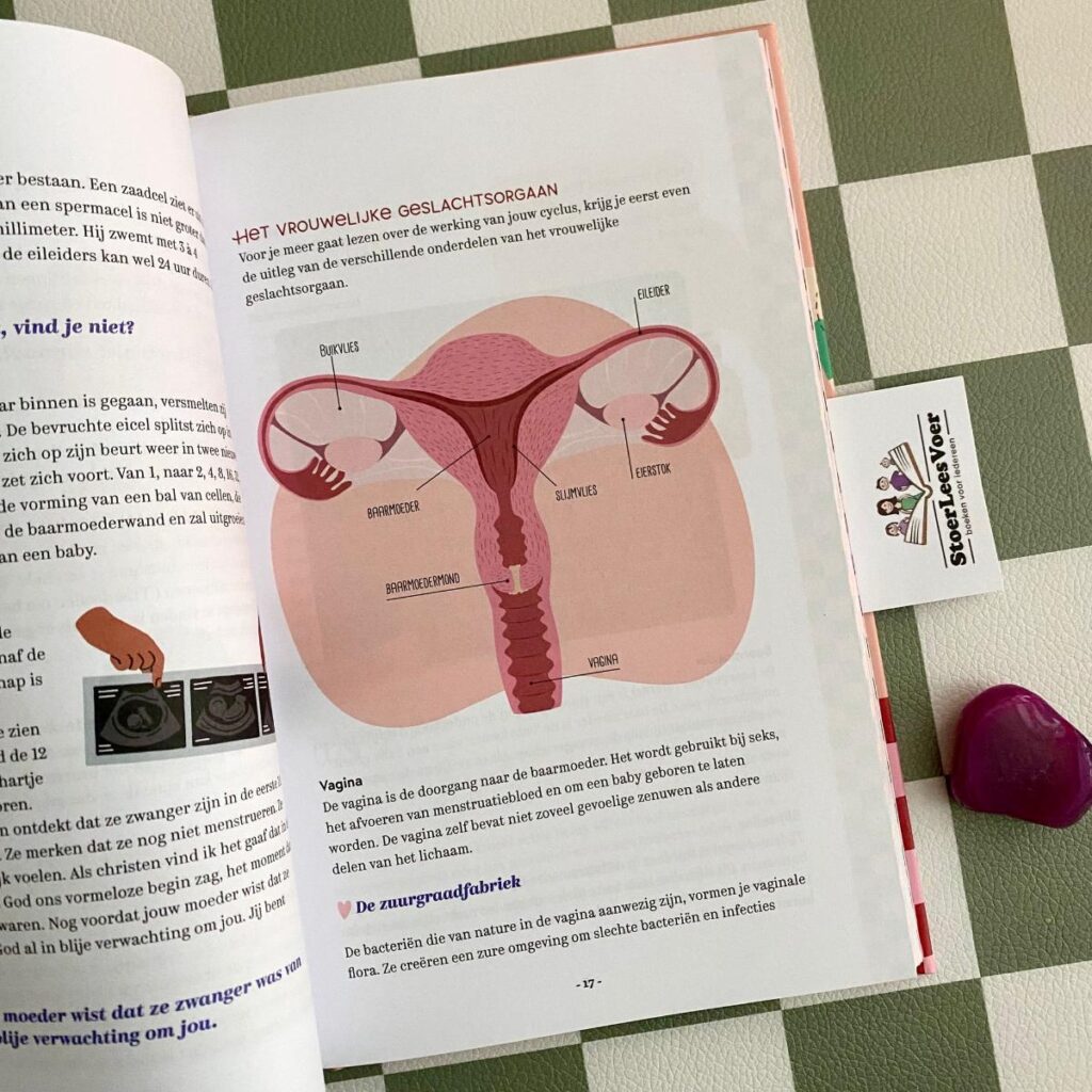 Mijn hormoonsurvivalgids vulva