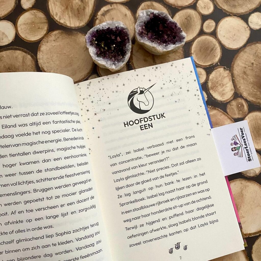 unicorn academy hoofdstuk 1 boek