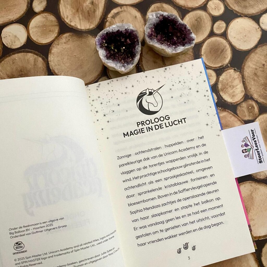 Onder de feeënmaan Unicorn Academy hoofdstuk 1 proloog