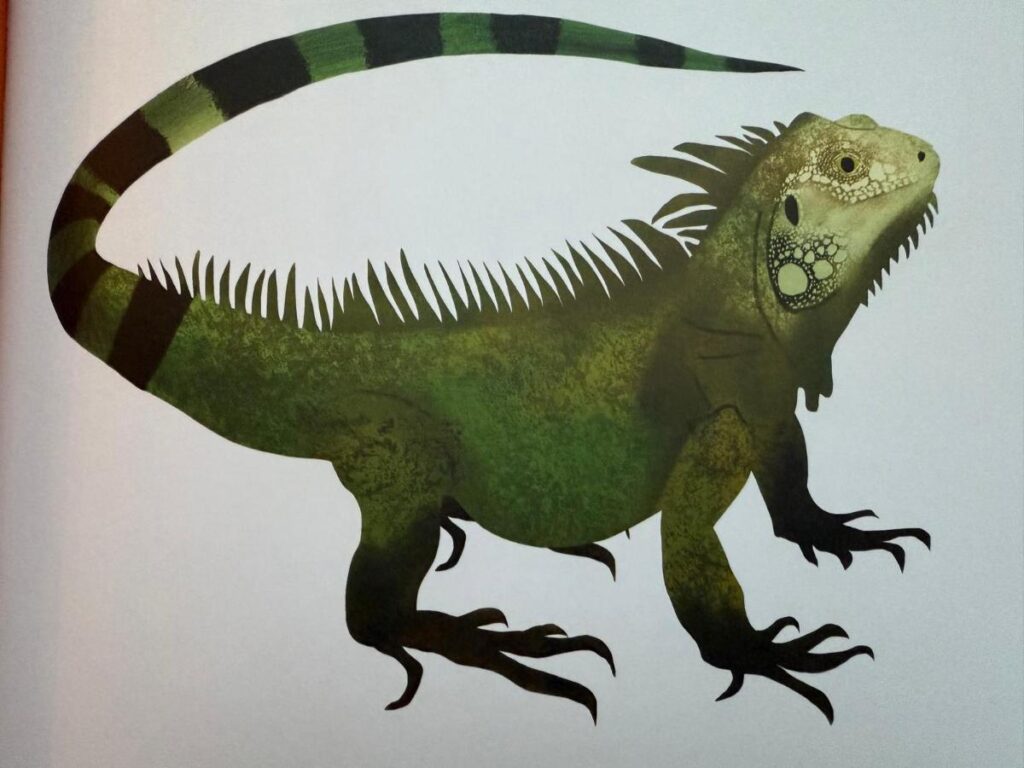 leguaan