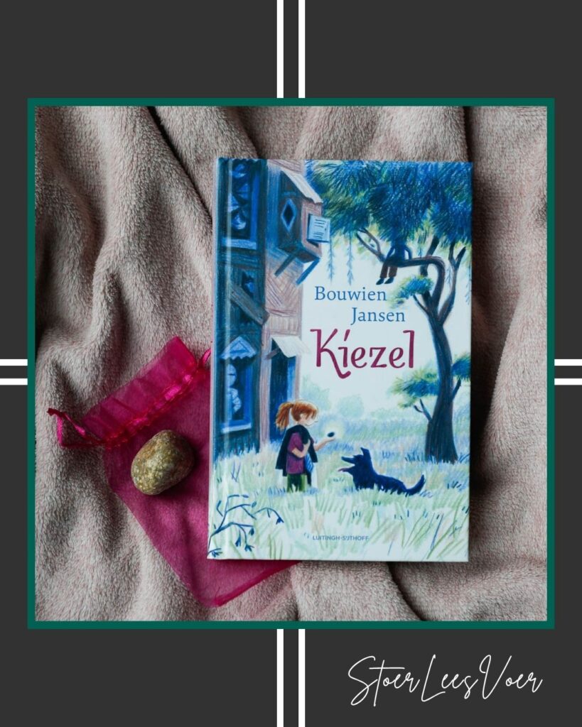 voorkant Kiezel met StoerLeesVoer kader