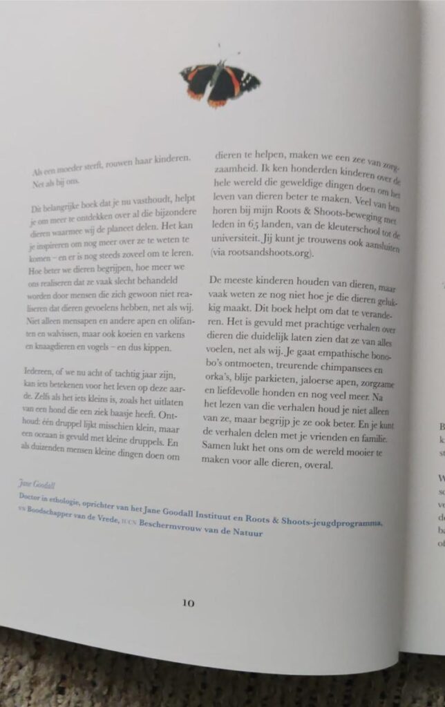 voorbeeld bladzijden Ik voel Ik voel wat jij niet ziet