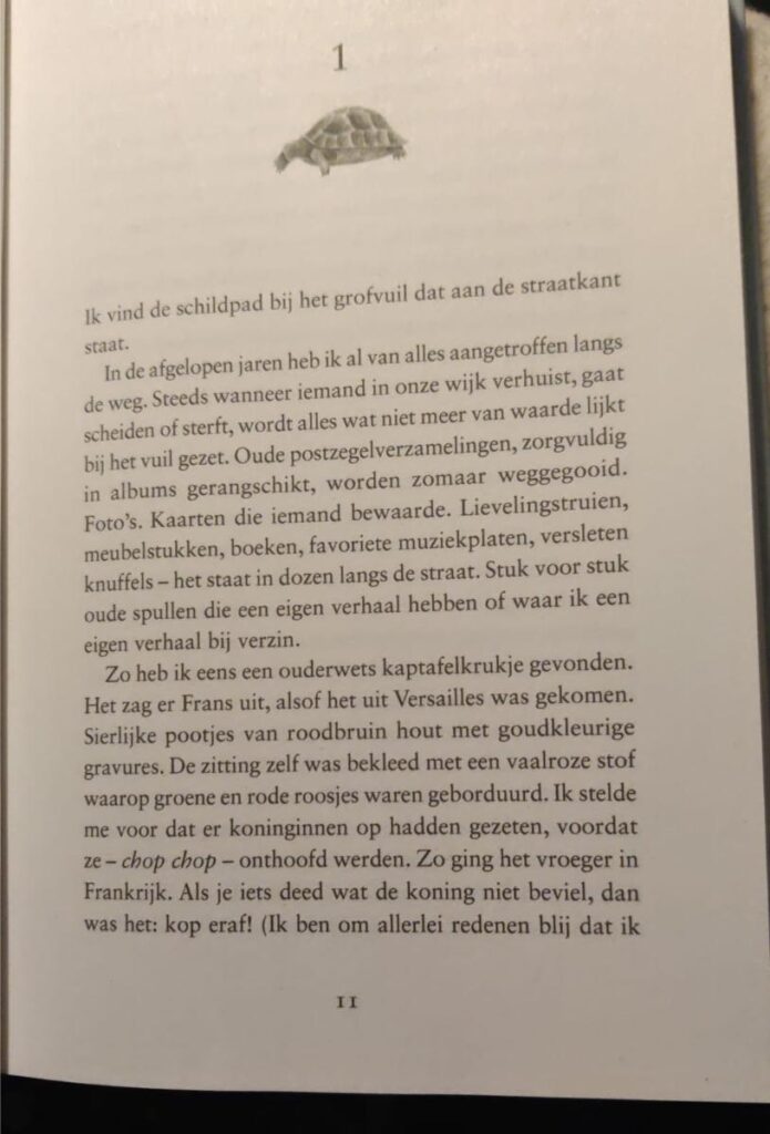 eerste bladzijde schildpadmeisje
