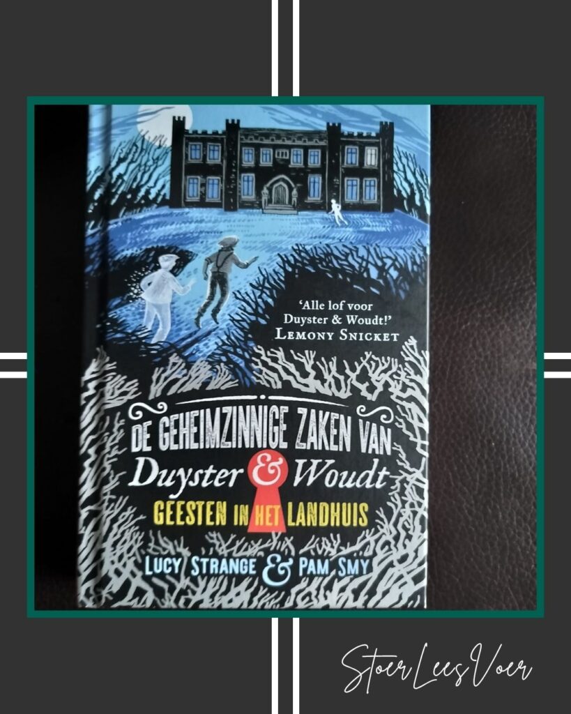 Kader De geheimzinnige zaken van Duyster en Woudt geesten in het landhuis lucy strange voorkant cover omslag kaft