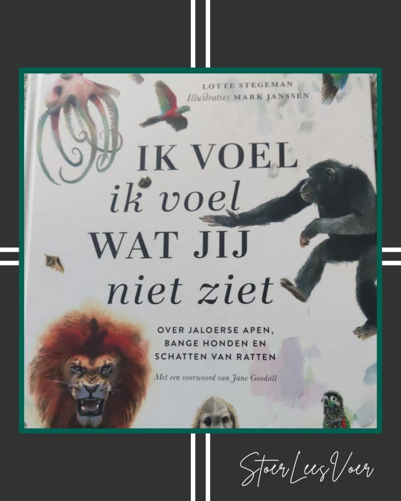 Kader ik voel ik voel wat jij niet ziet voorkant cover omslag kaft