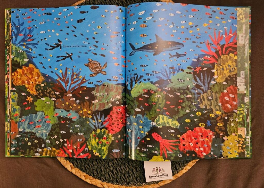 great barrier reef australie