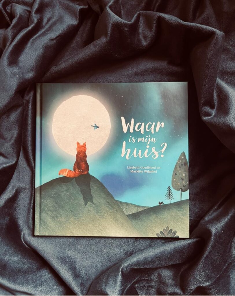 Waar is mijn huis? voorkant cover omslag kaft