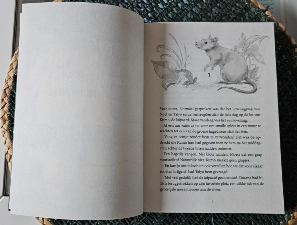 eiland van de magische dieren