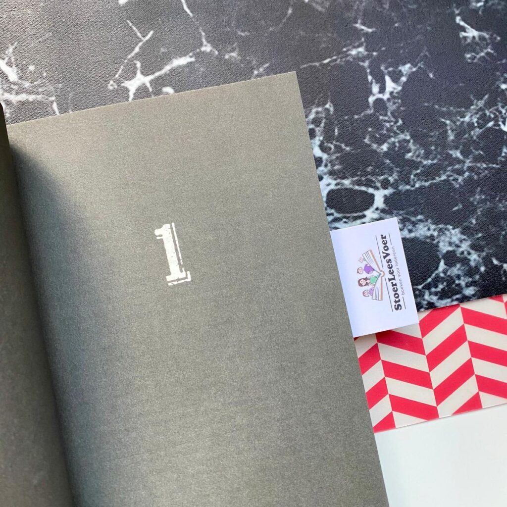 hoofdstuk 1 moorden voor beginner