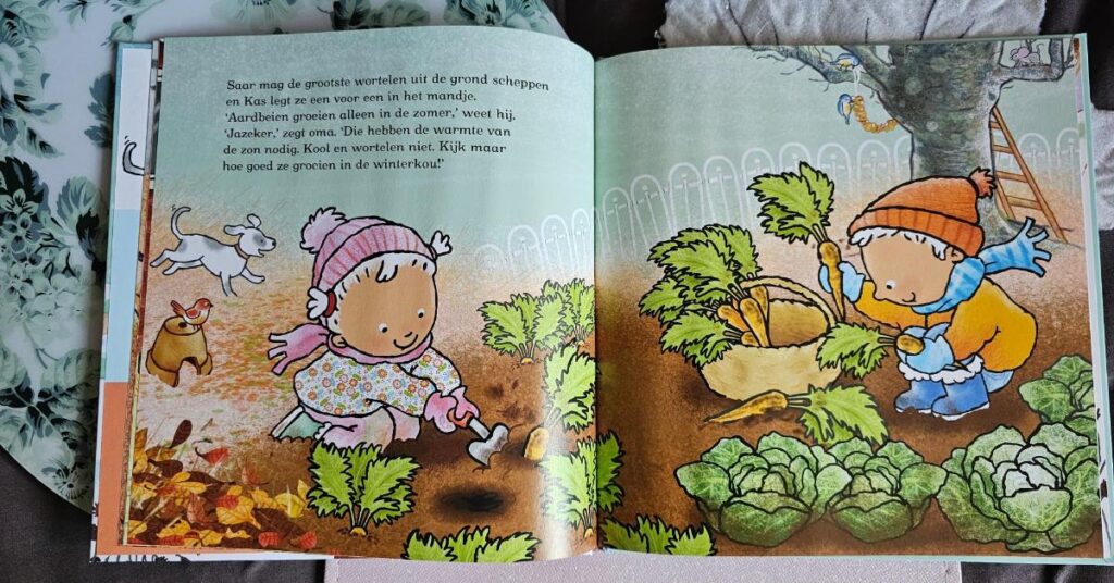 winterpenen en kool moestuin in de winter