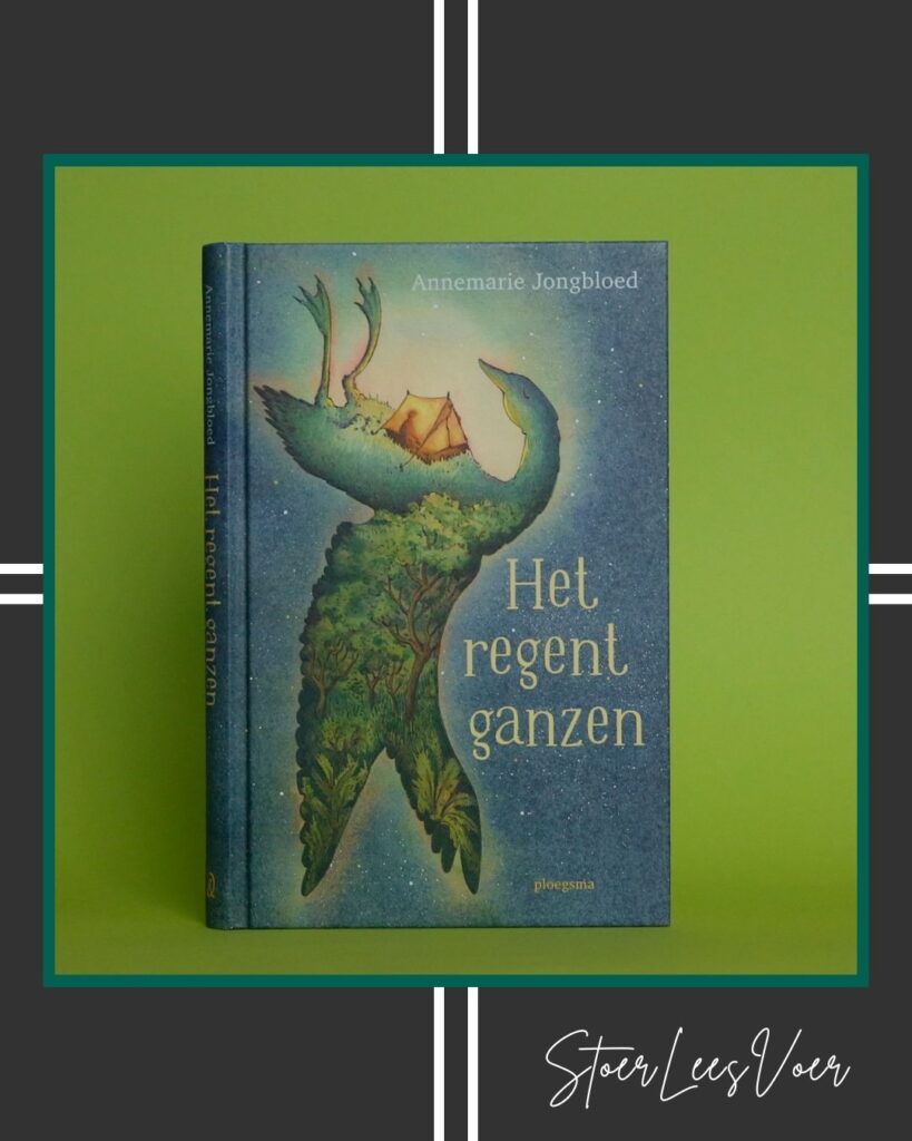 Het regent ganzen voorkant cover omslag kaft met SLV kader