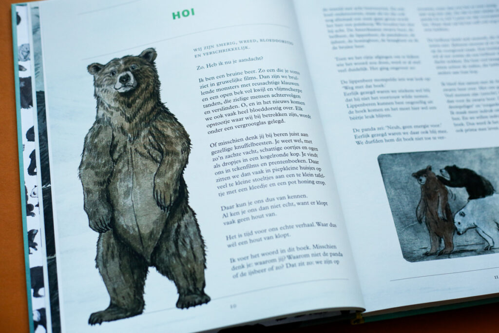 prachtige illustratie van de bruin beer