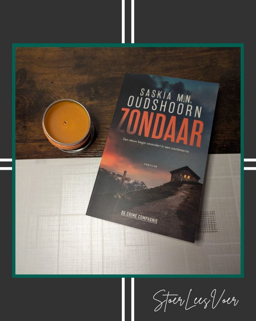 voorkant cover omslag kaft Zondaar, herkenbare dip verandert in een thriller