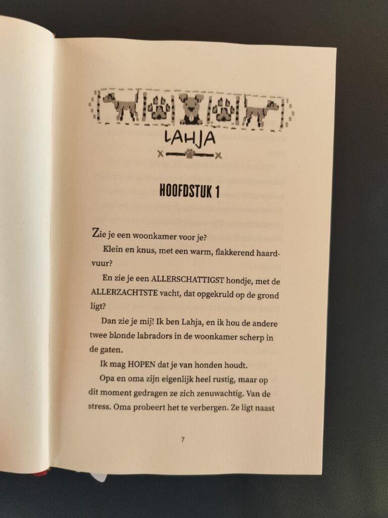 Eerste bladzijde Het allerlaatste kerstcadeau