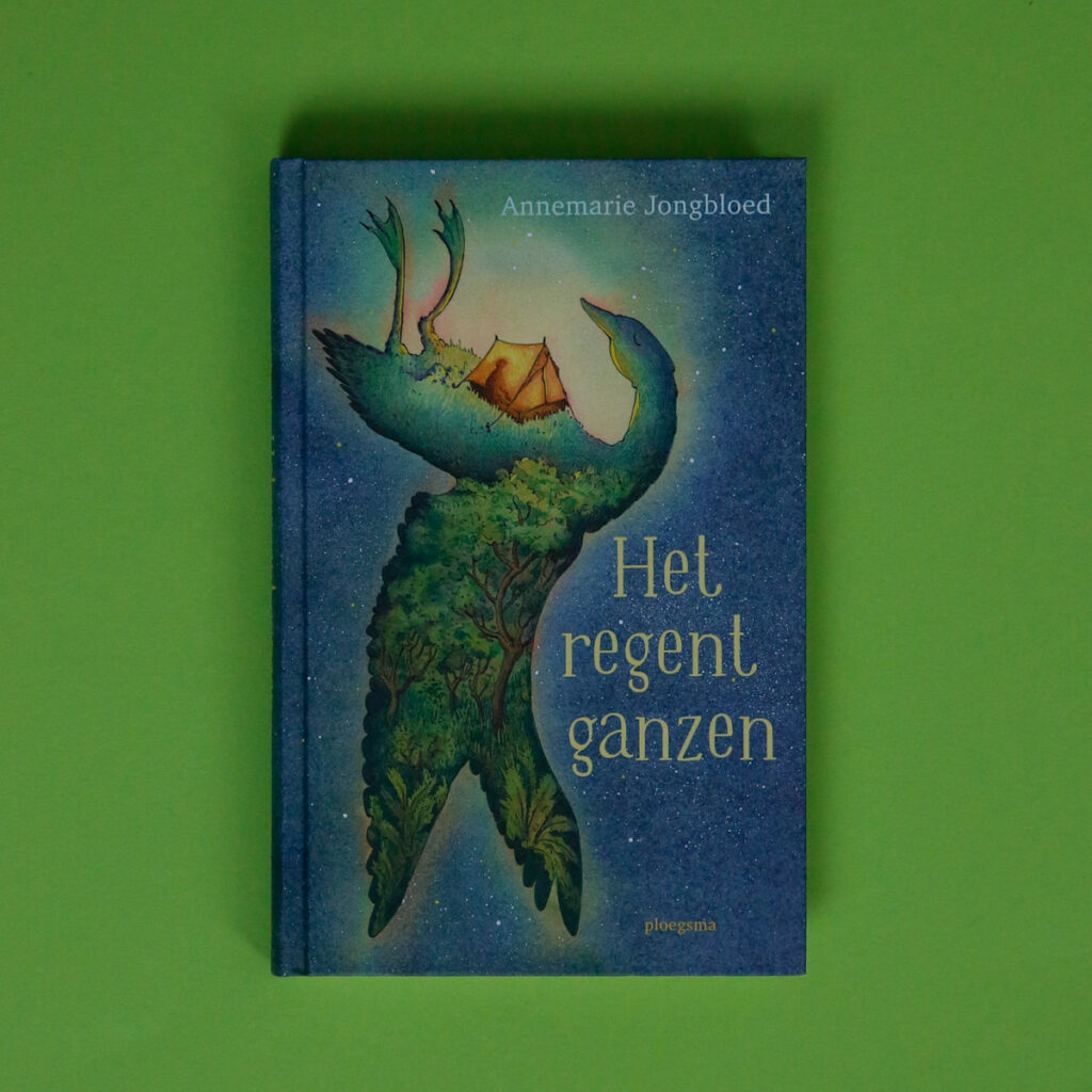 Het regent ganzen voorkant