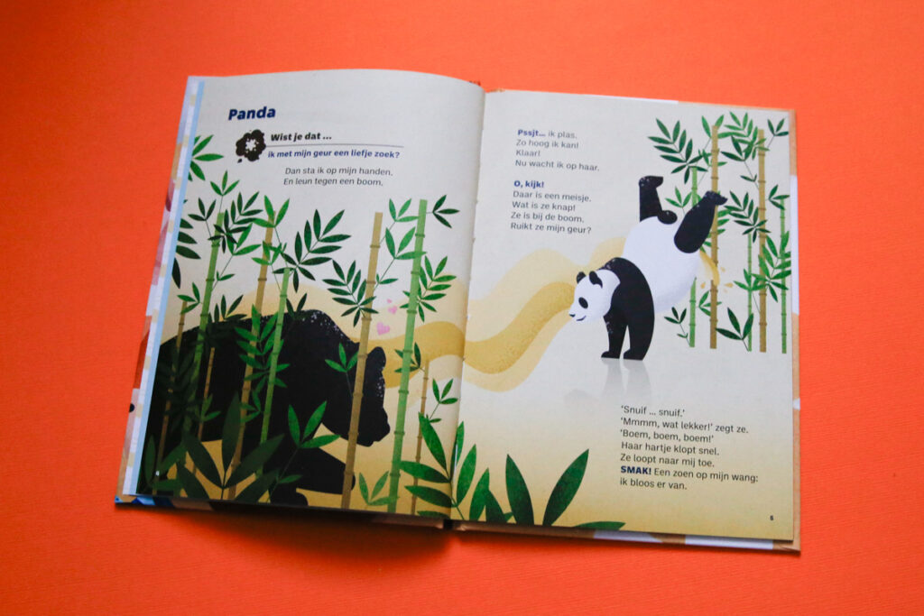 bladspiegel 1/2 de panda