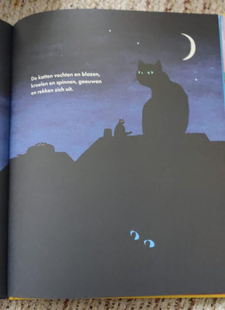 verschil in kleurgebruik de nacht is van Kat