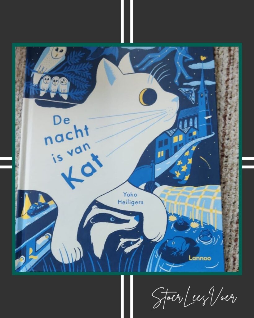 Kader de nacht is van Kat voorkant cover omslag kaft prentenboek