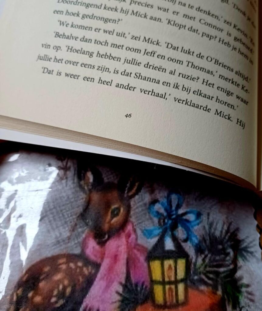 Kerstmis in Chesapeake Shores