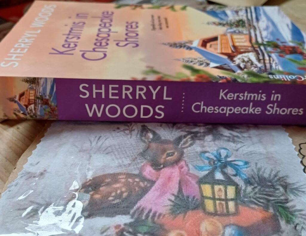 Kerstmis in Chesapeake Shores