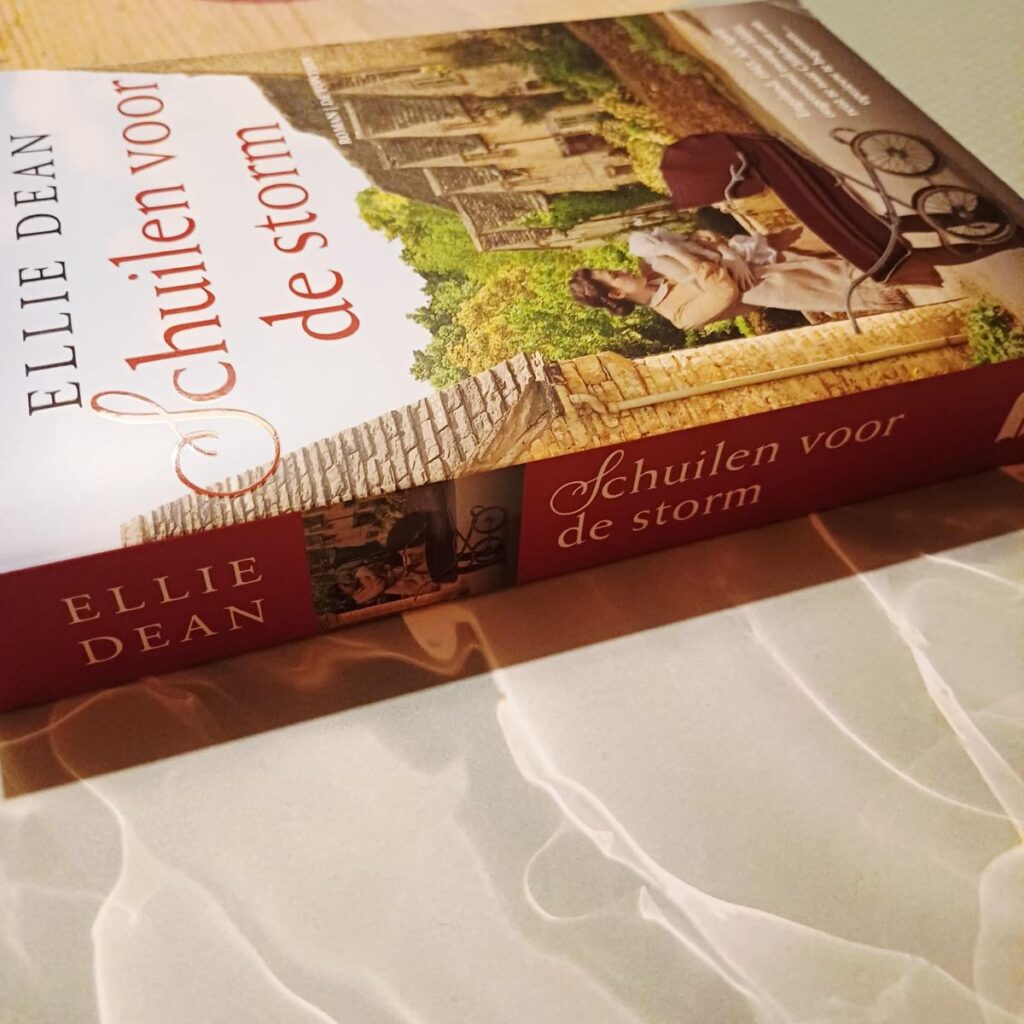 rug voorkant cover omslag kaft 'Schuilen voor de storm' is het elfde deel in de Cliffhaven serie van auteur Ellie Dean