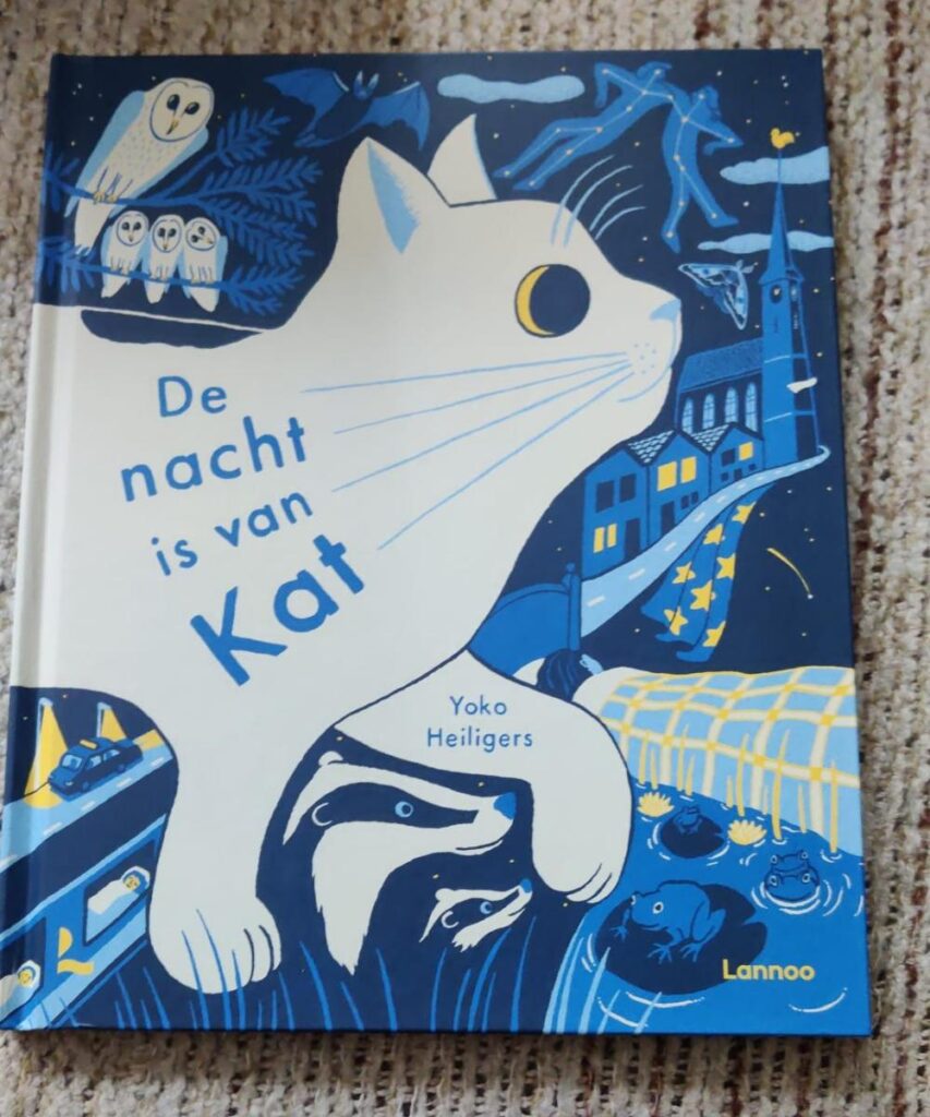Kader de nacht is van Kat voorkant cover omslag kaft prentenboek