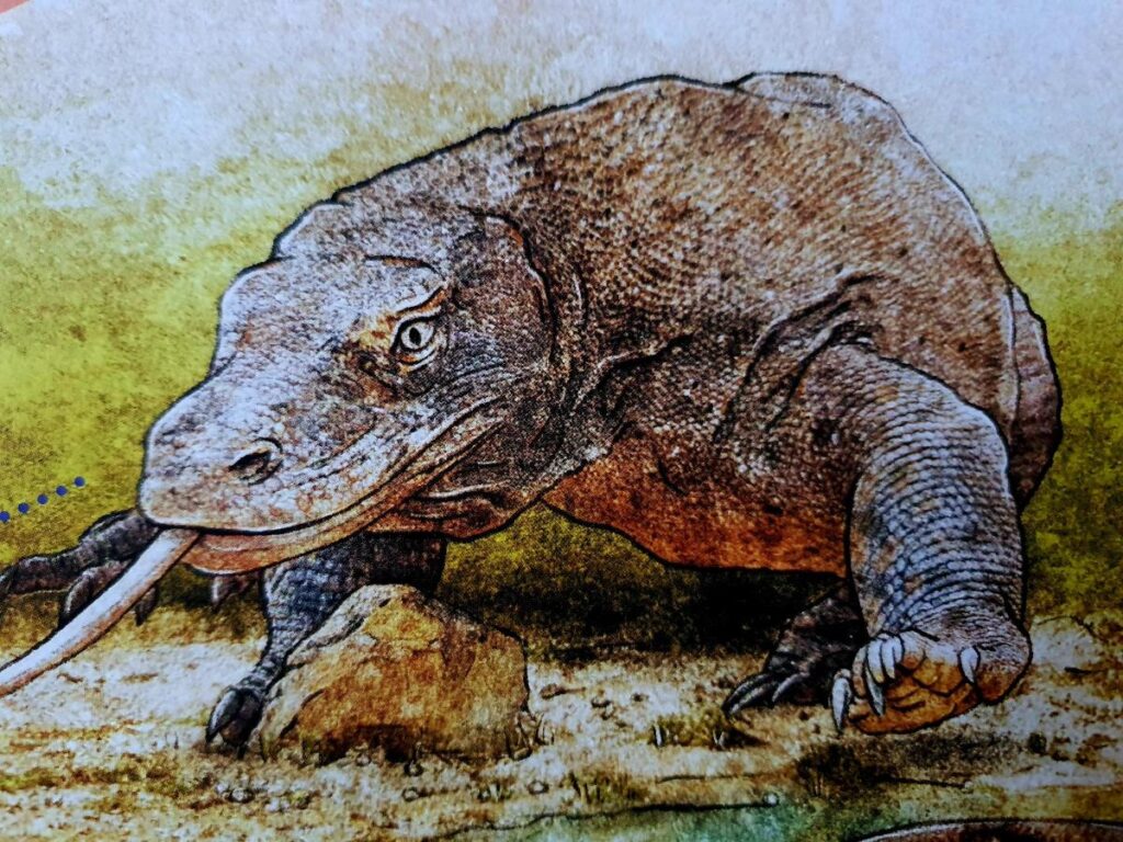 Amfibieën en reptielen