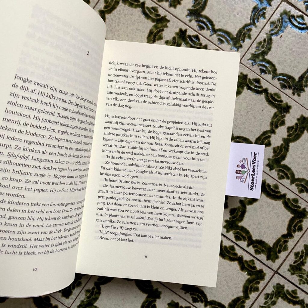 roman christine bax de nieuwe weg