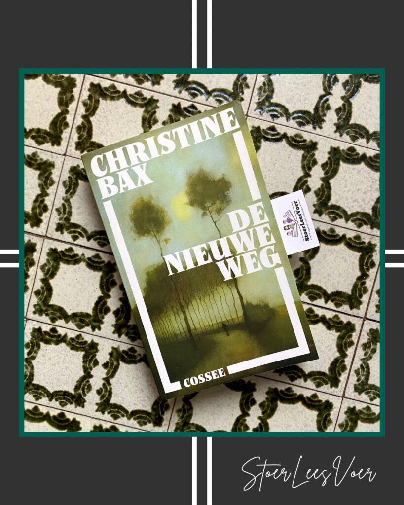 De nieuwe weg voorkant cover omslag kaft christine bax