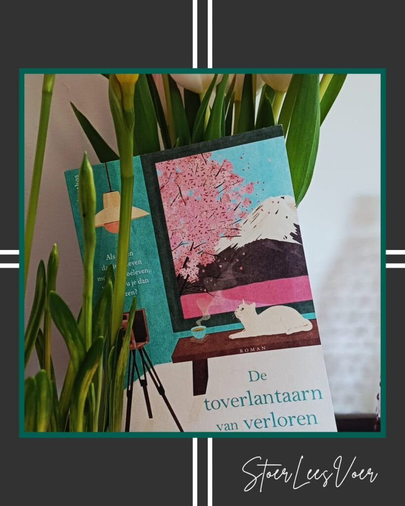 Healing Fiction roman 'De toverlantaarn van verloren herinneringen' voorkant cover omslag kaft