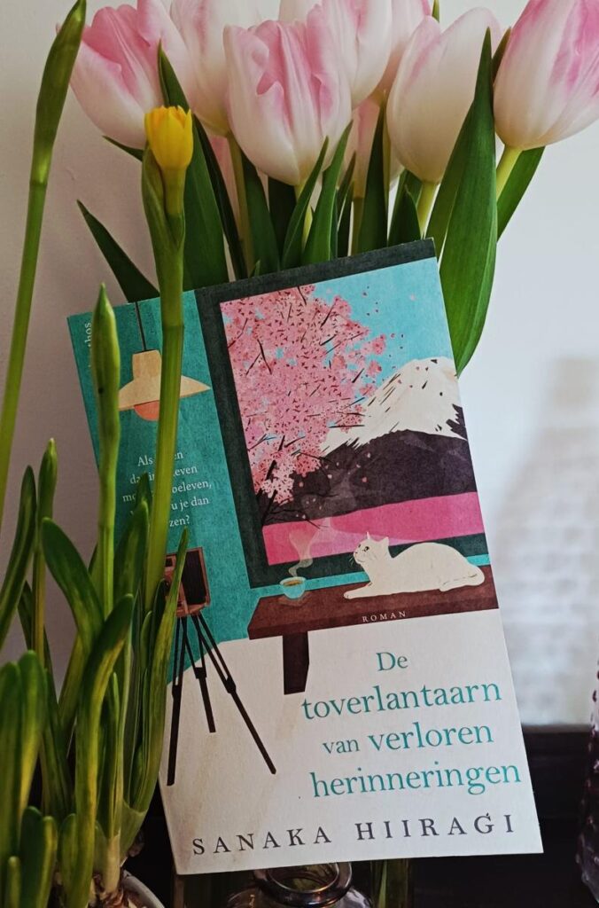 Healing Fiction roman 'De toverlantaarn van verloren herinneringen' voorkant cover omslag kaft