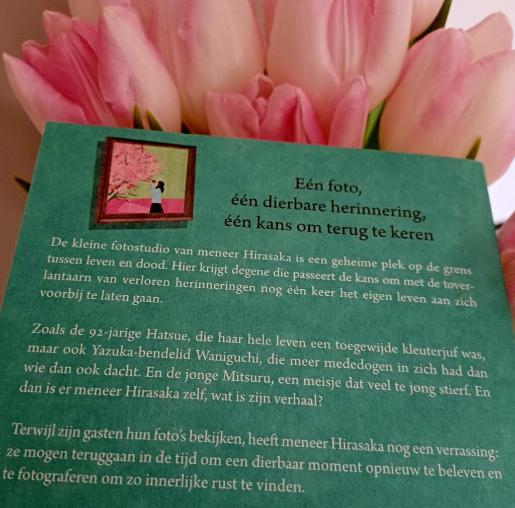 Healing Fiction roman 'De toverlantaarn van verloren herinneringen' achterkant achterflap synopsis samenvatting cover omslag kaft