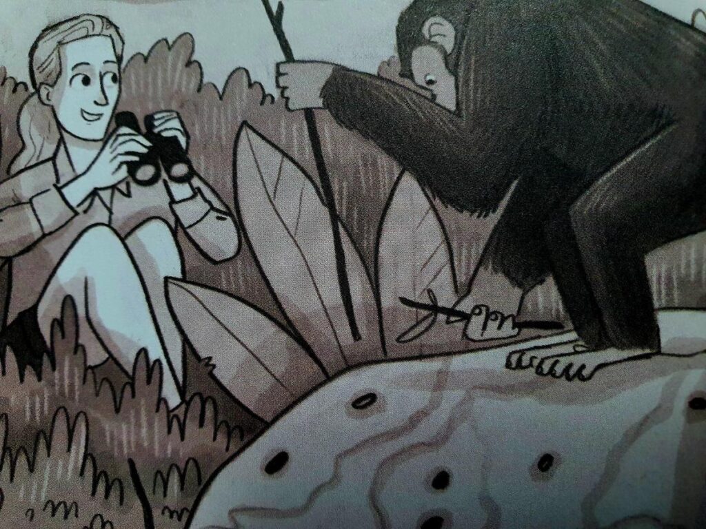 Eten gorilla's bananen?