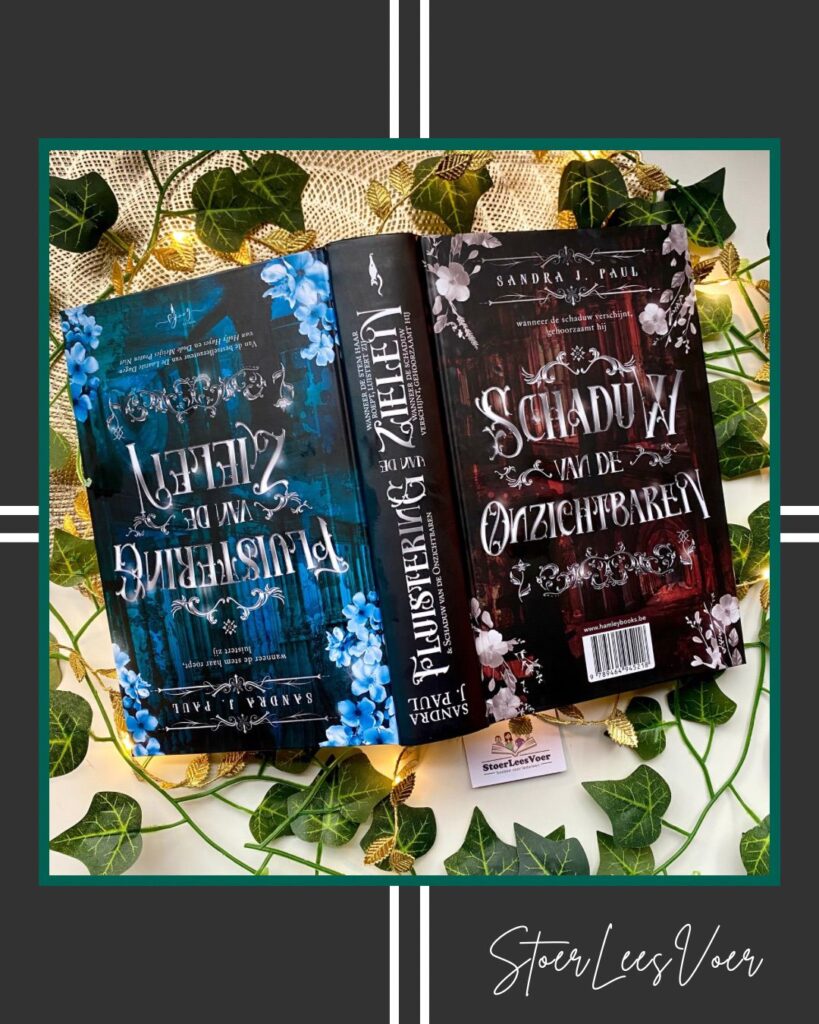 Fluistering van de zielen schaduw van de onzichtbaren voorkant cover omslag kaft flipover novel sandra j paul