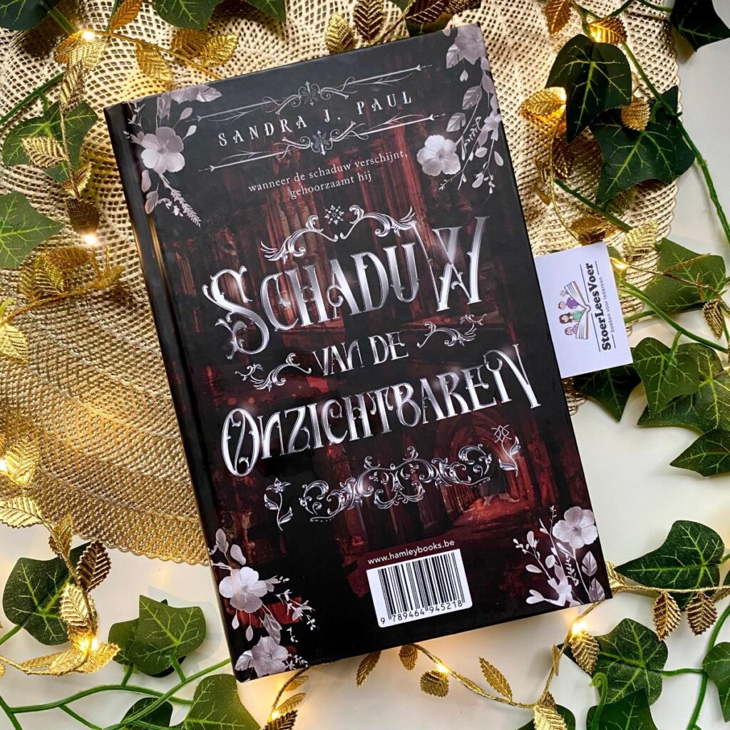 Fluistering van de zielen schaduw van de onzichtbaren voorkant cover omslag kaft flipover novel sandra j paul