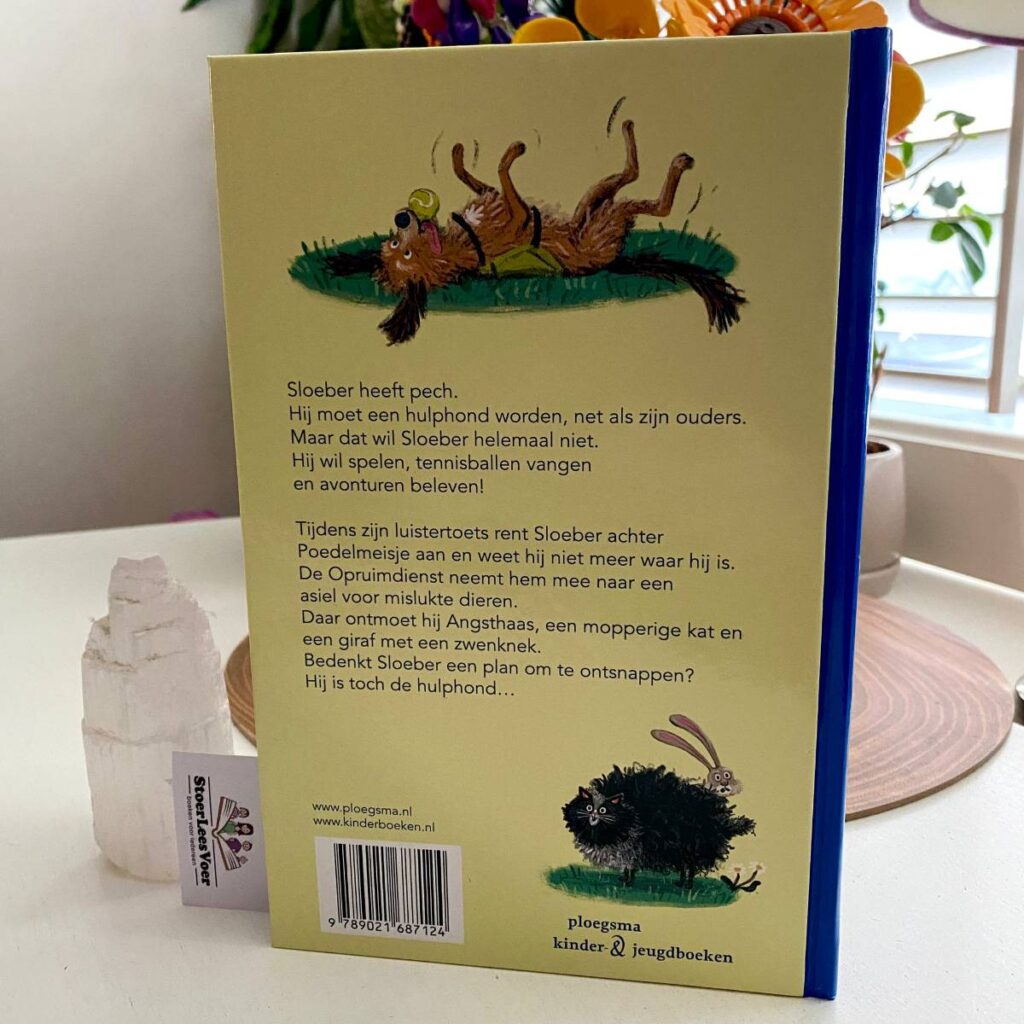 Sloeber achterkant achterflap synopsis samenvatting cover omslag kaft