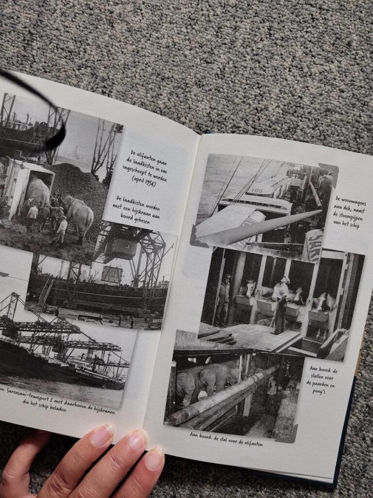 achtergrond informatie circus op zee