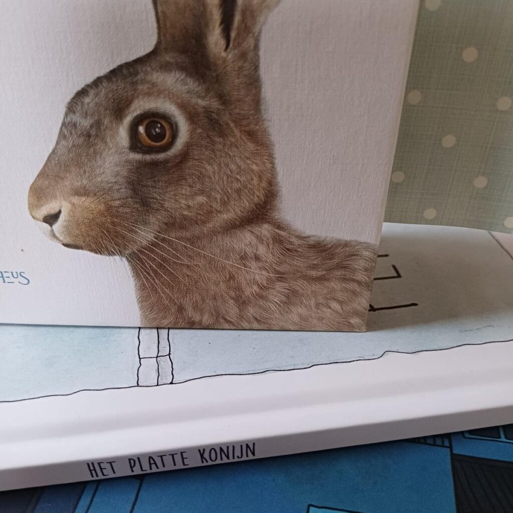het platte konijn