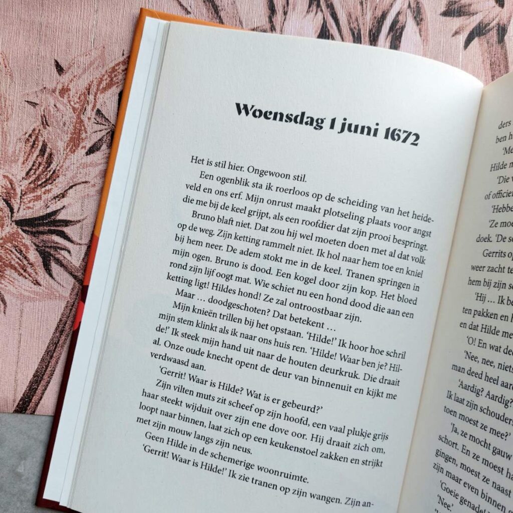 ik zal je vinden Ria Lazoe 1672